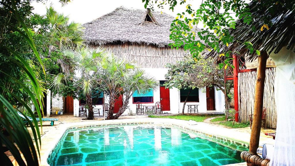 Diani Beach white sands 10 minutes walk from the hostel near Colobus Conservation