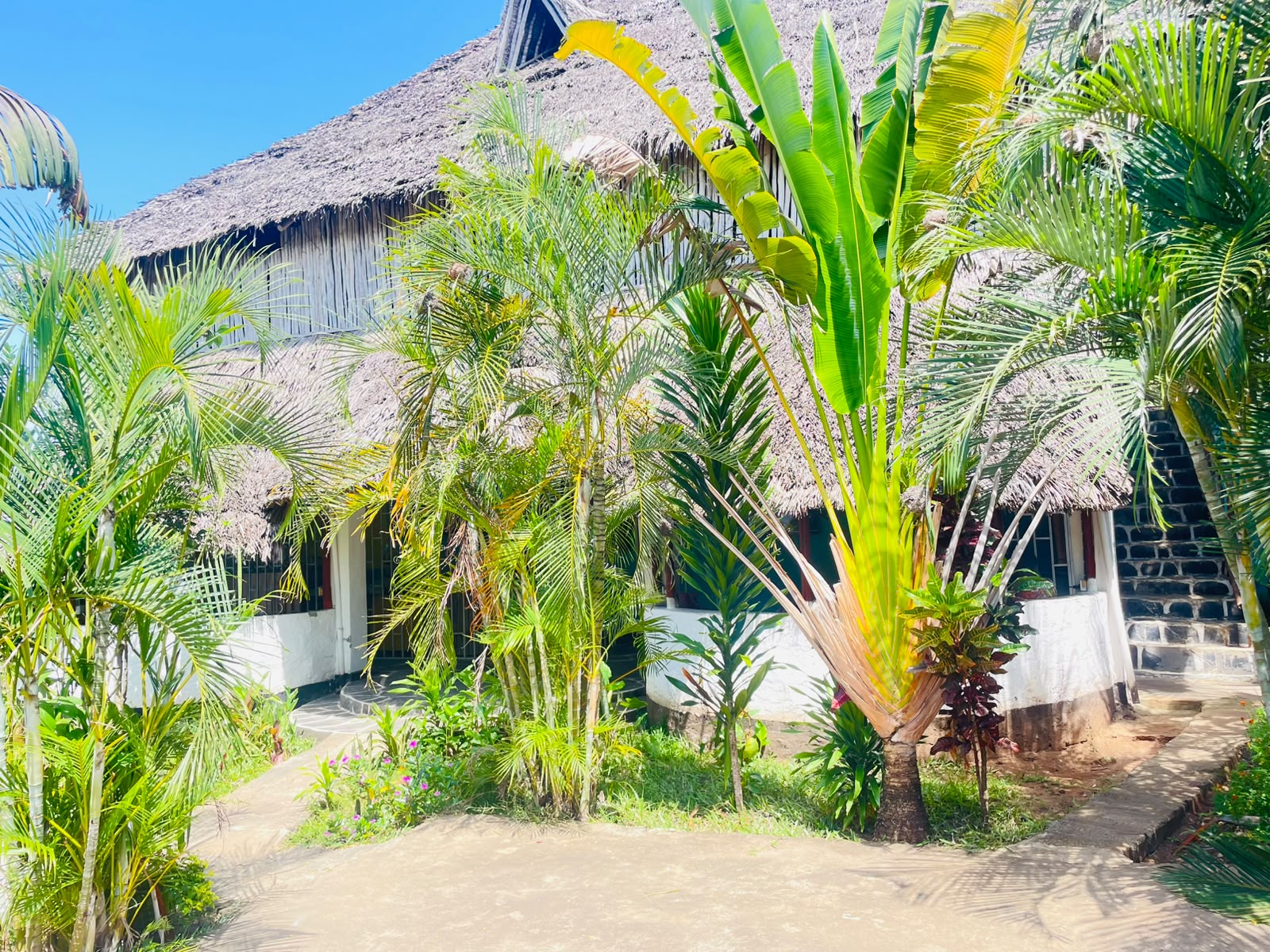 Thatched Swahili cottage framed by palms at Diani Hostel