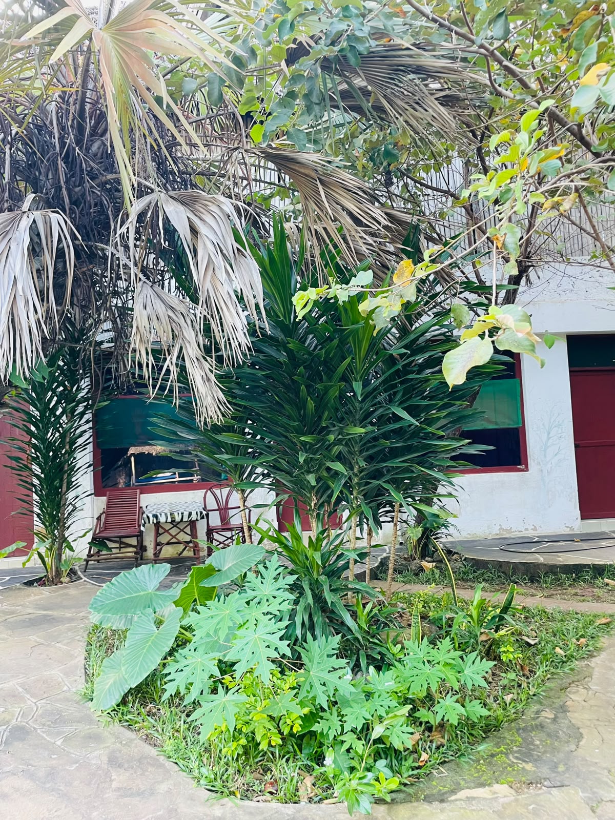 Tropical garden and veranda seating at Diani Hostel